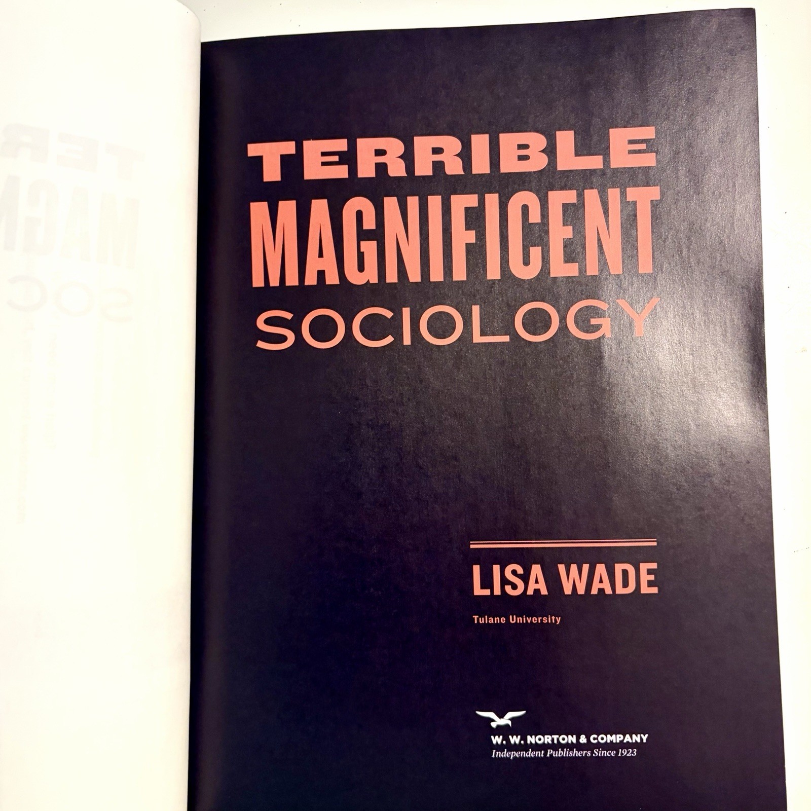 Terrible Magnificent Sociology by Lisa Wade (2021, Trade Paperback)